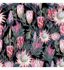 Tropical Digital Printed Plush Velvet Curtain Upholstery Fabric - Protea Flowers-Black-1 Metre