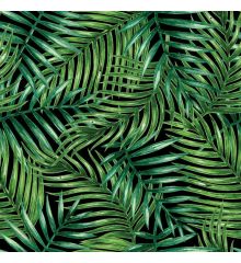 Water Repellent Printed Outdoor Upholstery Fabric - Palm Tree Leaves-Black