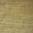 Lemon boucle
