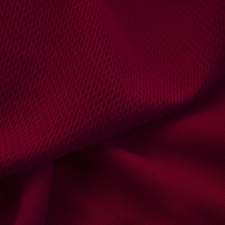 Mock Eyelet Sports Fabric 250 GSM